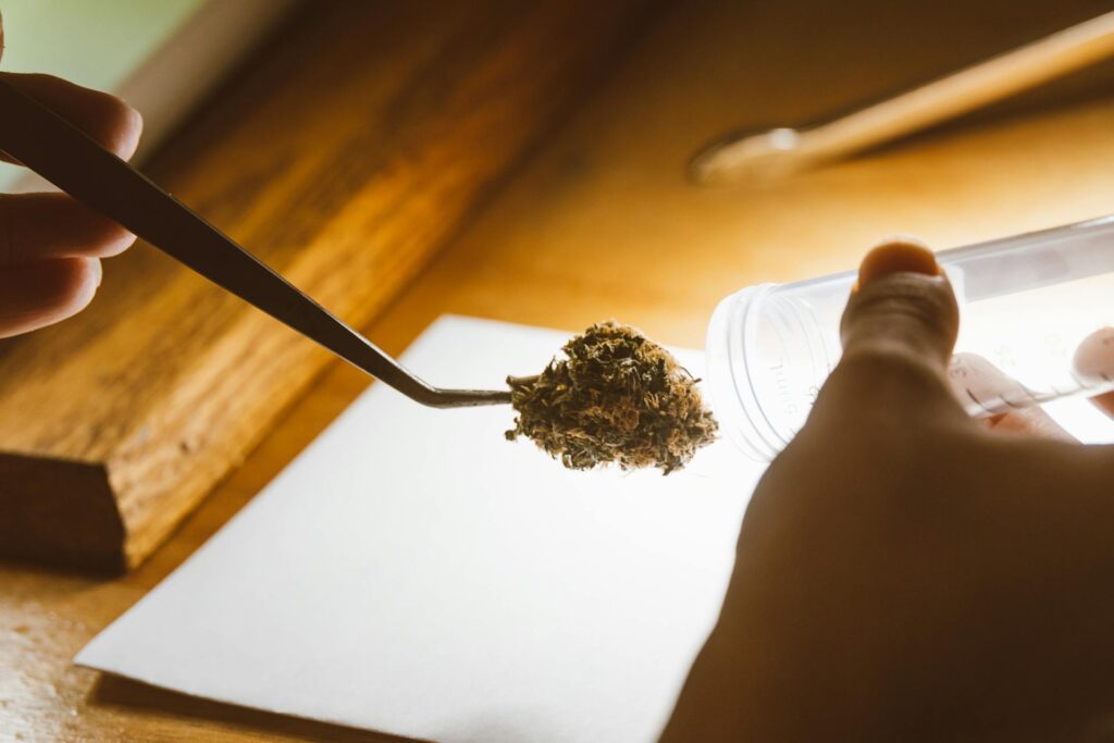 dispensary seo company